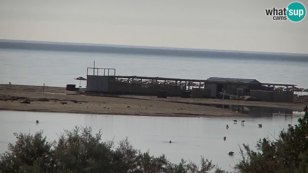 Webcam Chia – Vue en direct de la plage Su Giudeu