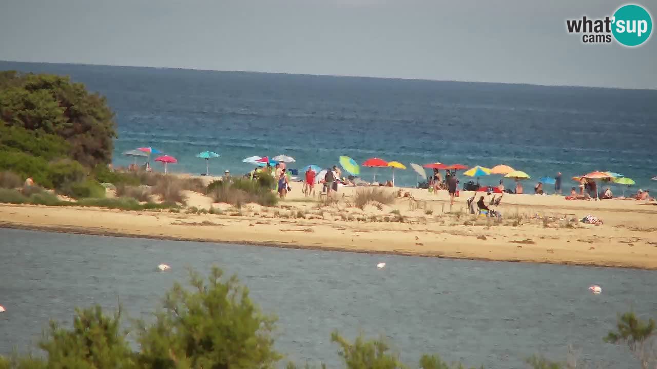 Spletna kamera Chia – Pogled v živo na plažo Su Giudeu