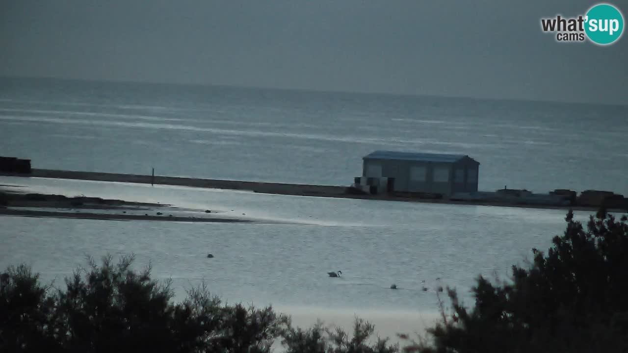 Webcam Chia – Live View of Su Giudeu Beach