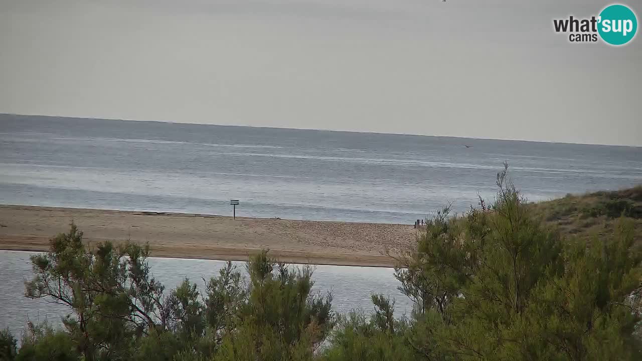 Webcam Chia – Vista en directo de la playa Su Giudeu