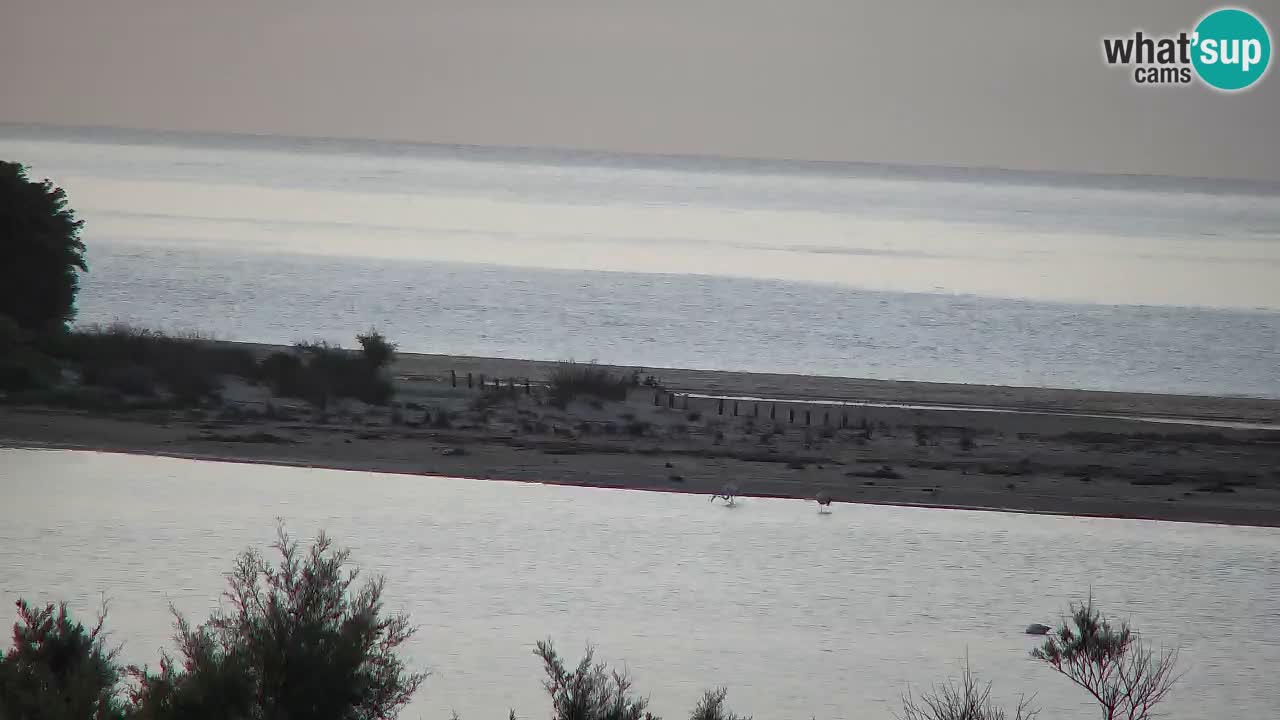 Webcam Chia – Liveblick auf den Strand Su Giudeu