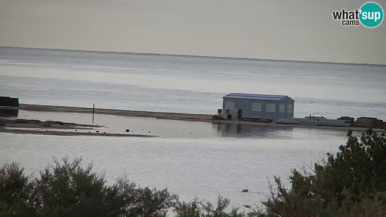 Webcam Chia – Live View of Su Giudeu Beach