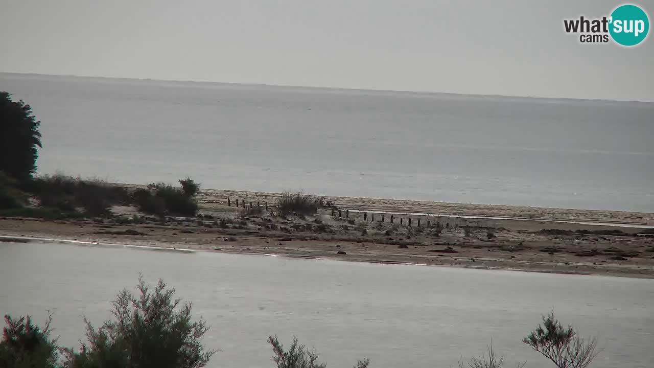 Webcam Chia – Live View of Su Giudeu Beach