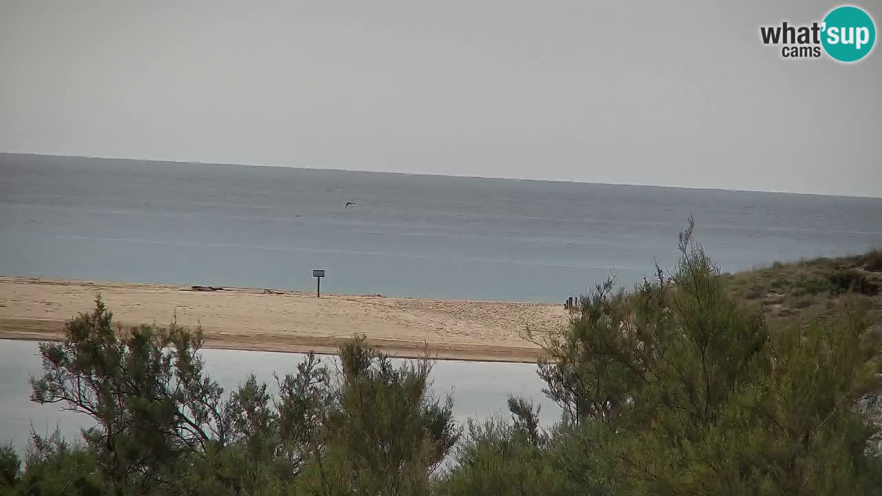 Webcam Chia – Live View of Su Giudeu Beach