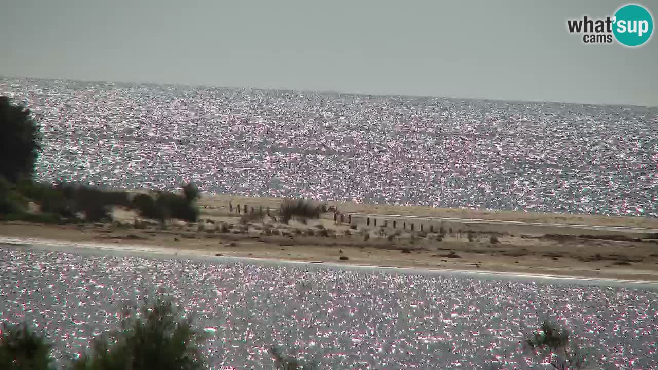 Webcam Chia – Live View of Su Giudeu Beach