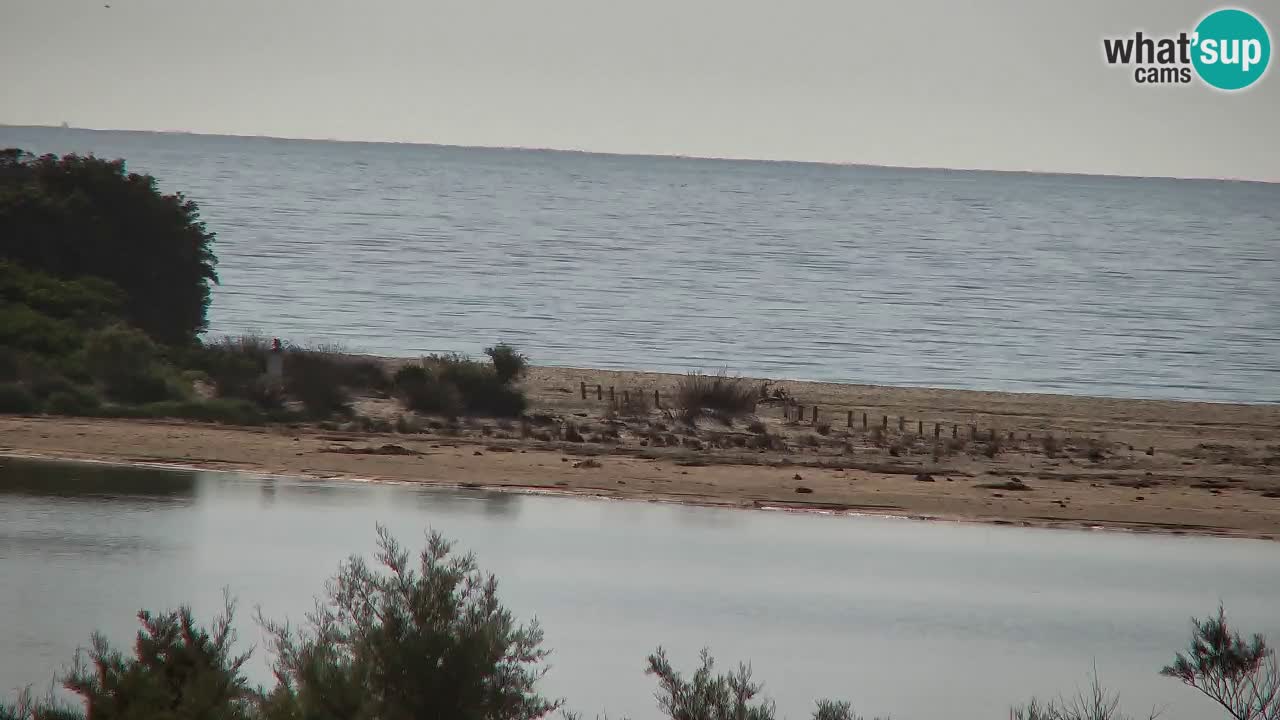 Webcam Chia – Live View of Su Giudeu Beach