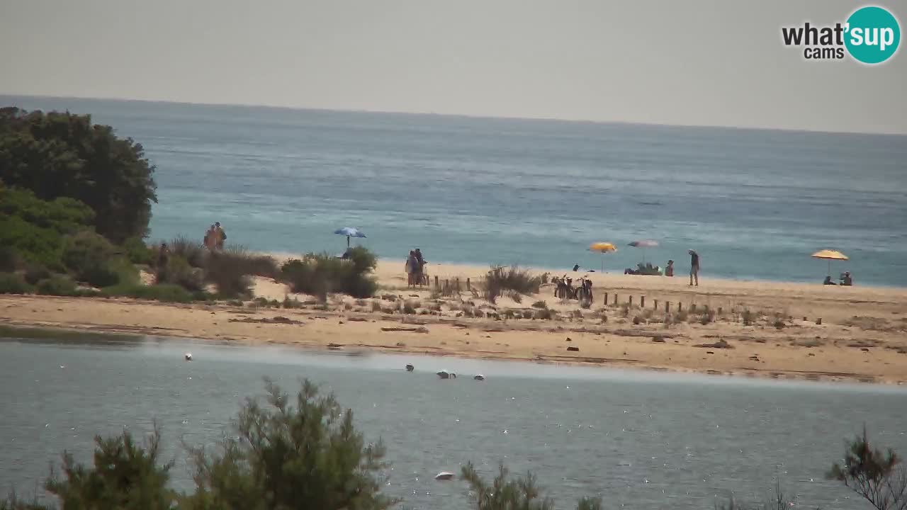 Webcam Chia – Live View of Su Giudeu Beach