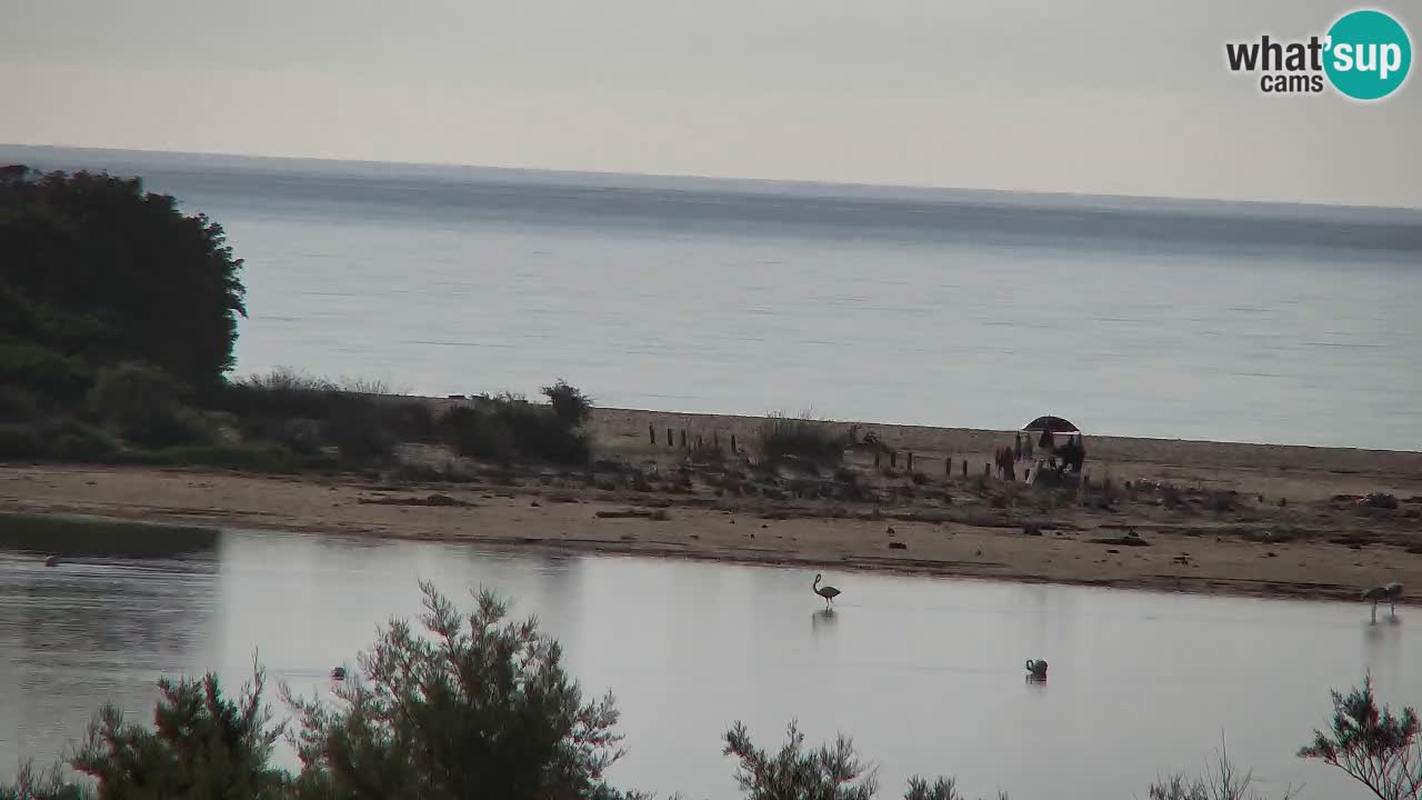 Webcam Chia – Liveblick auf den Strand Su Giudeu