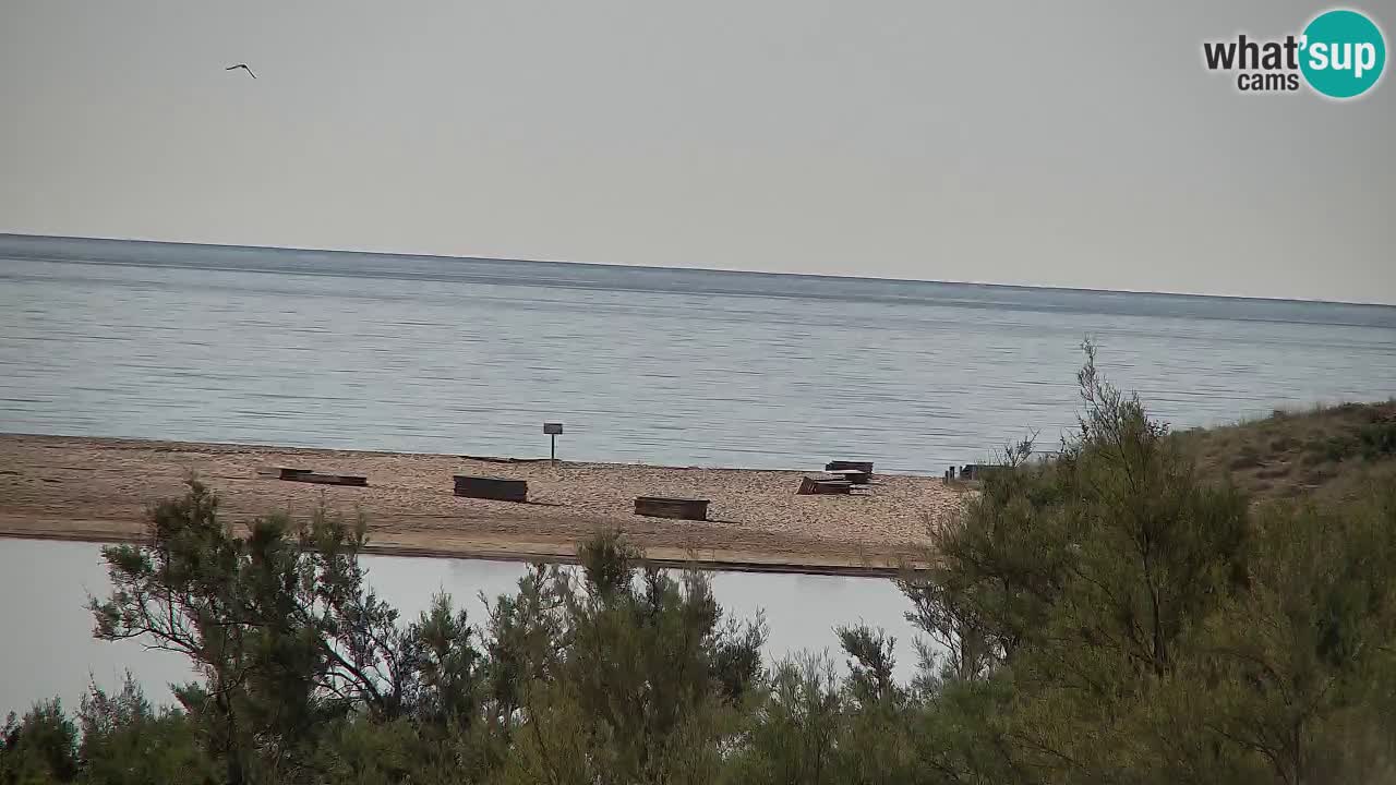 Webcam Chia – Live View of Su Giudeu Beach