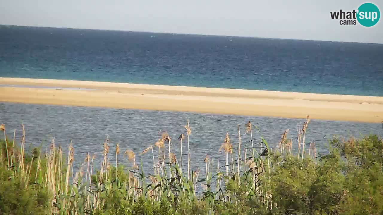 Spletna kamera Chia – Pogled v živo na plažo Su Giudeu