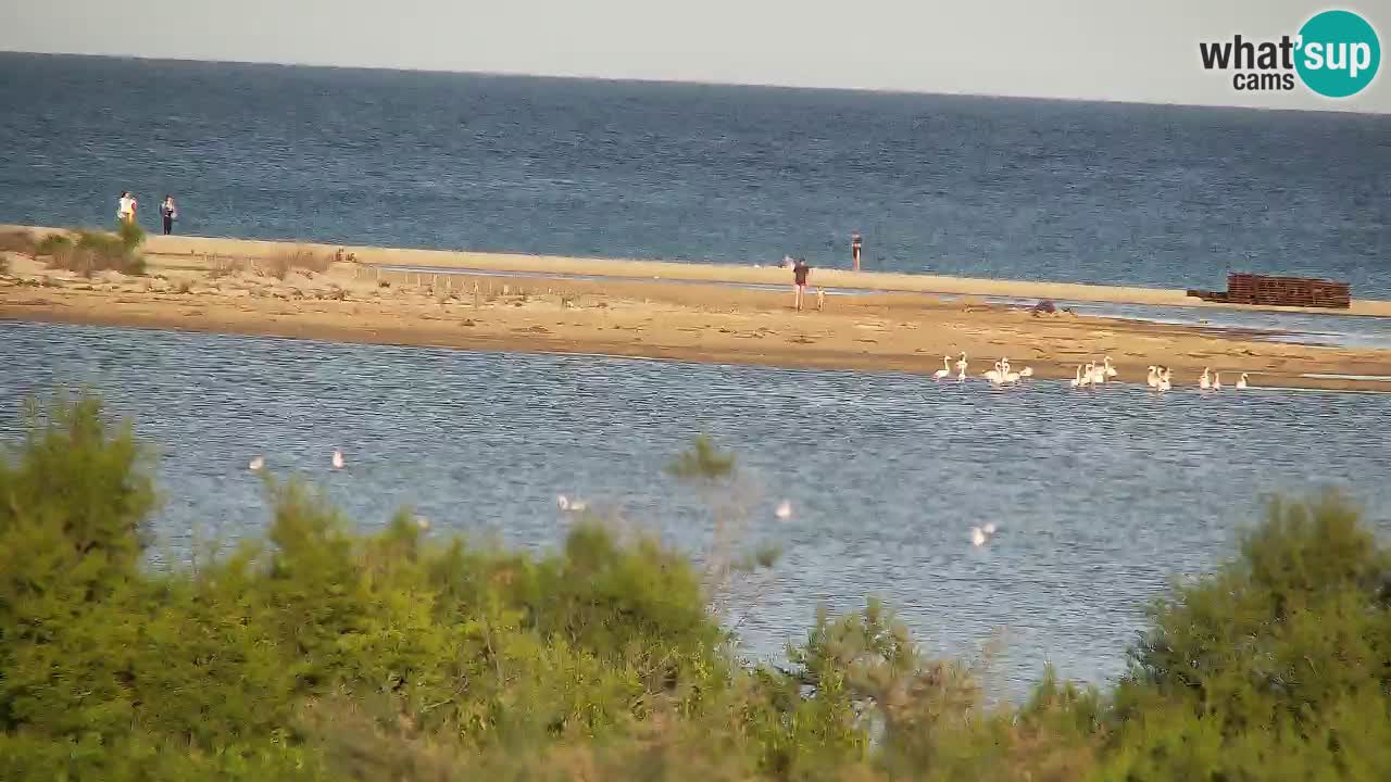 Webcam Chia – Live View of Su Giudeu Beach