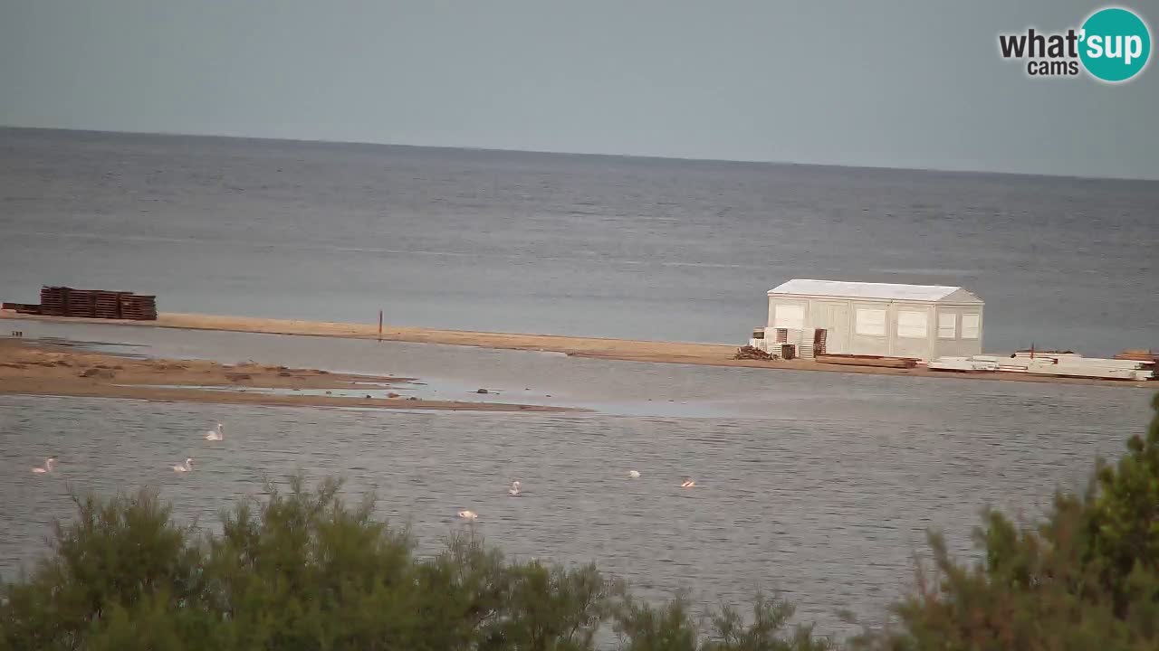 Webcam Chia – Spiaggia Su Giudeu in diretta