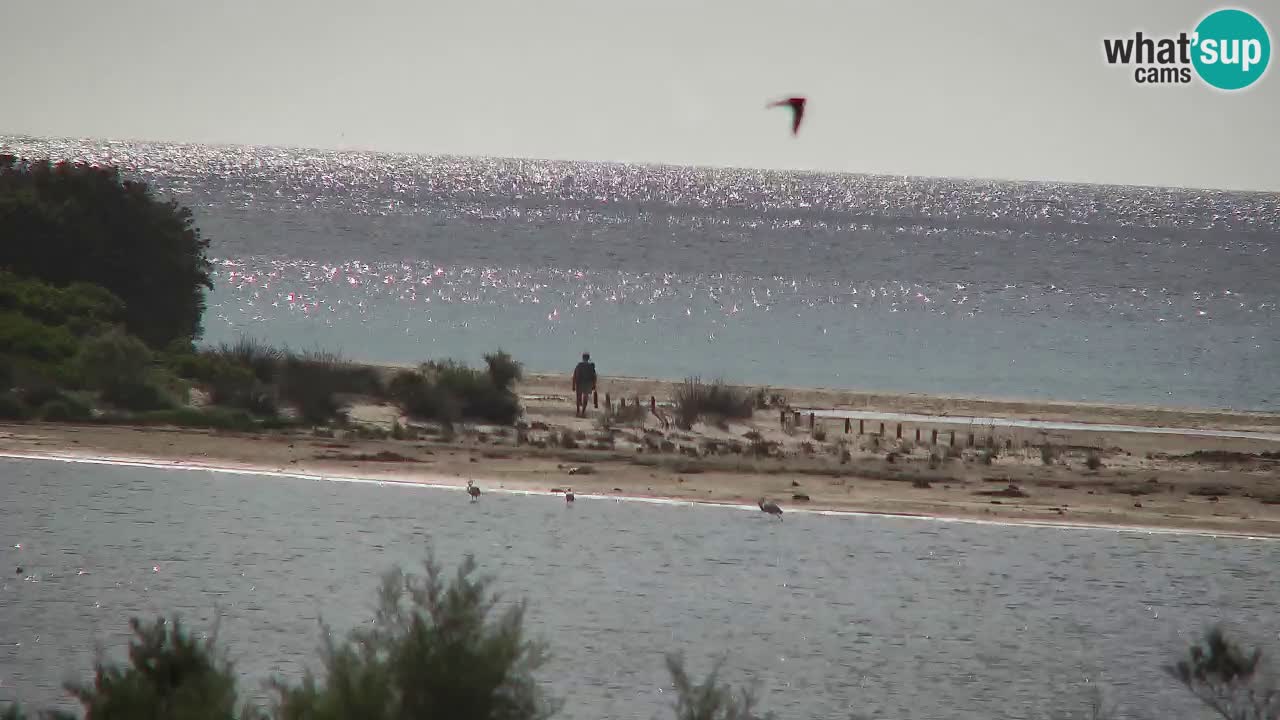 Webcam Chia – Spiaggia Su Giudeu in diretta