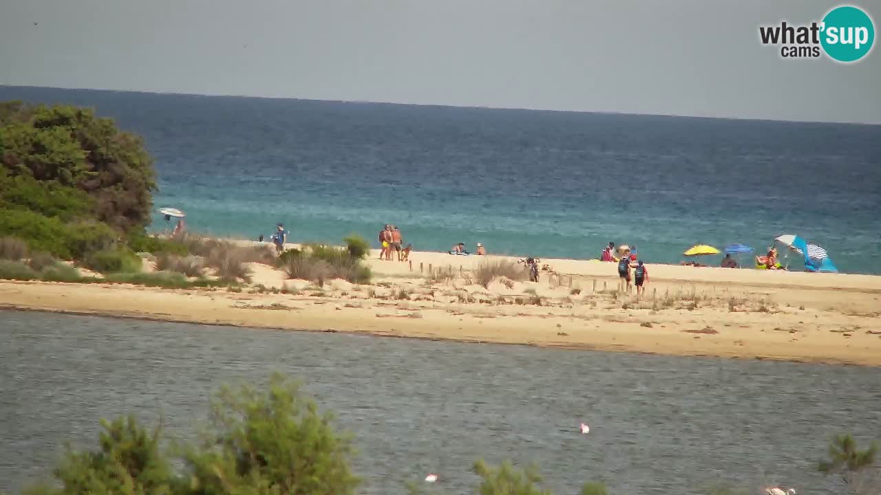 Webcam Chia – Liveblick auf den Strand Su Giudeu