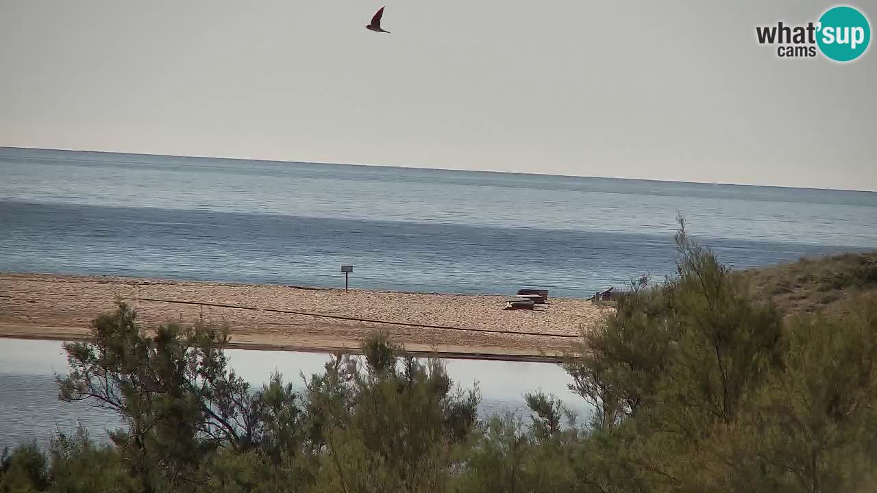 Spletna kamera Chia – Pogled v živo na plažo Su Giudeu