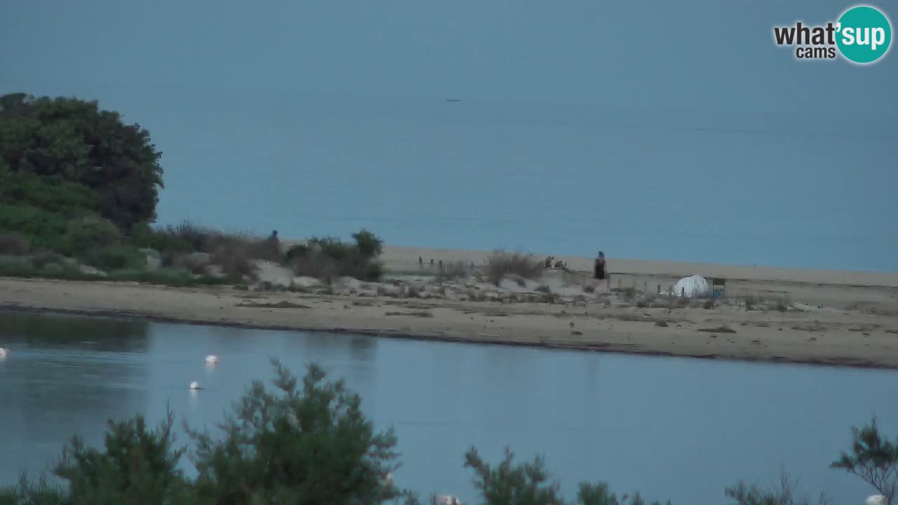 Web kamera Chia – Pogled uživo na plažu Su Giudeu