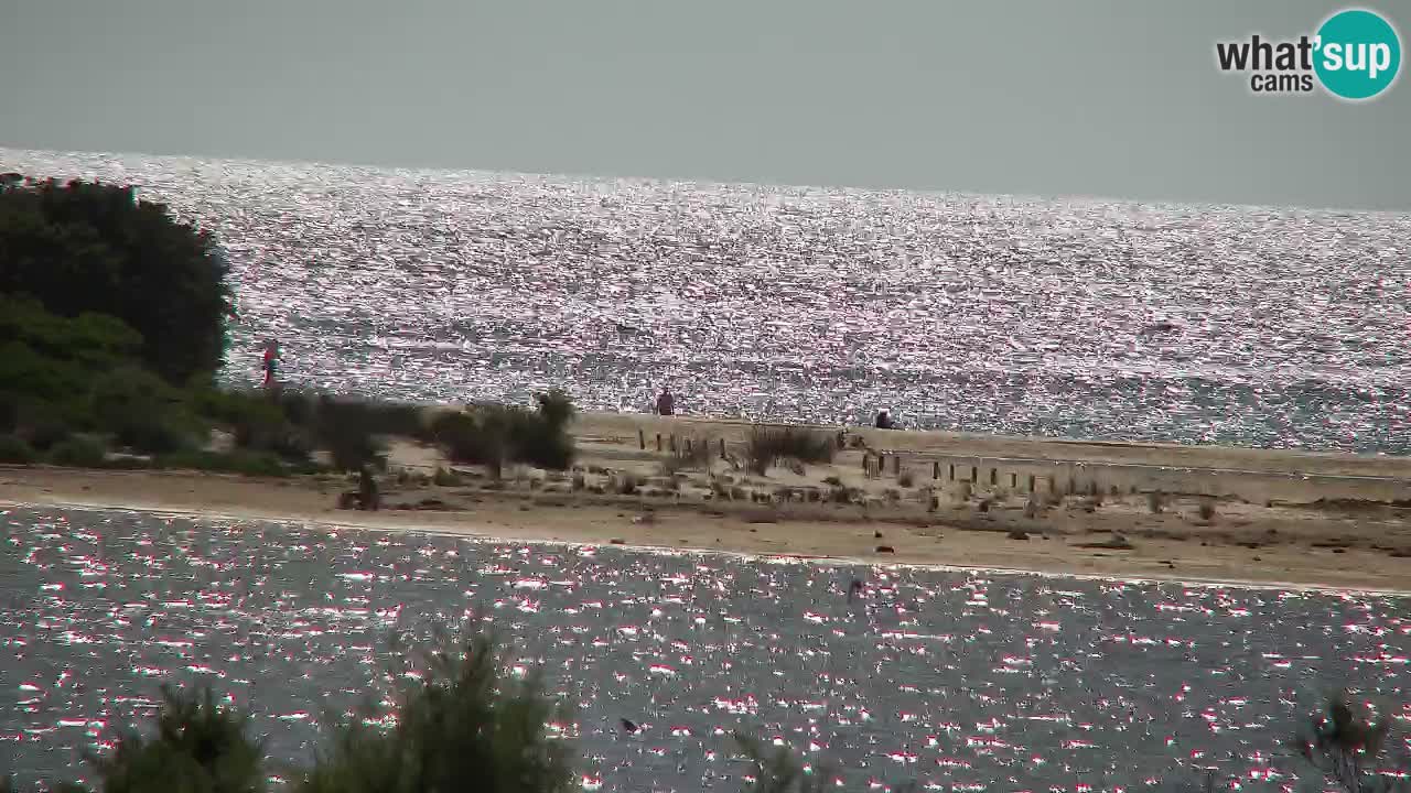 Webcam Chia – Vue en direct de la plage Su Giudeu