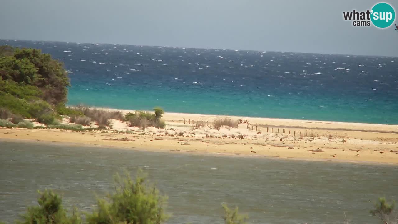 Webcam Chia – Live View of Su Giudeu Beach