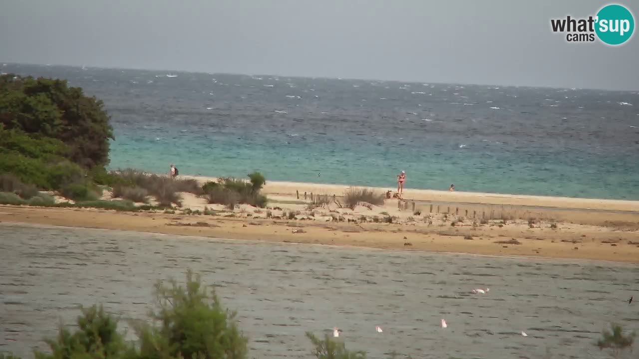 Web kamera Chia – Pogled uživo na plažu Su Giudeu