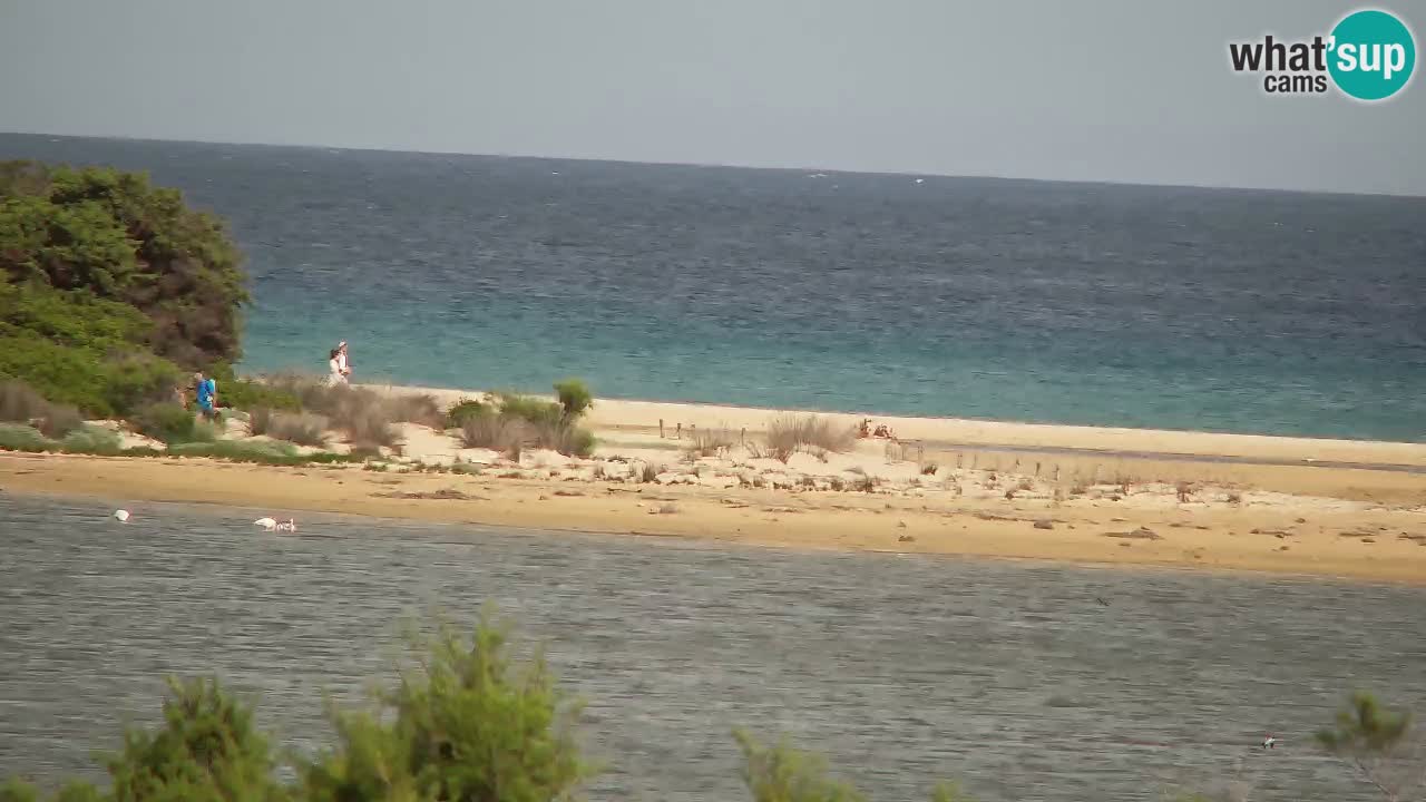 Webcam Chia – Vue en direct de la plage Su Giudeu