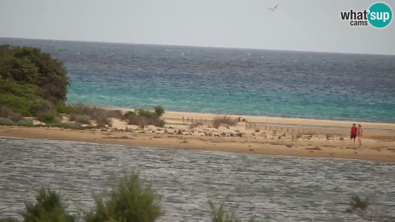 Webcam Chia – Vue en direct de la plage Su Giudeu