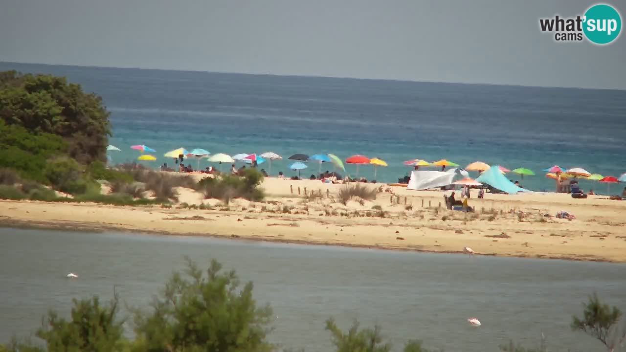 Webcam Chia – Spiaggia Su Giudeu in diretta