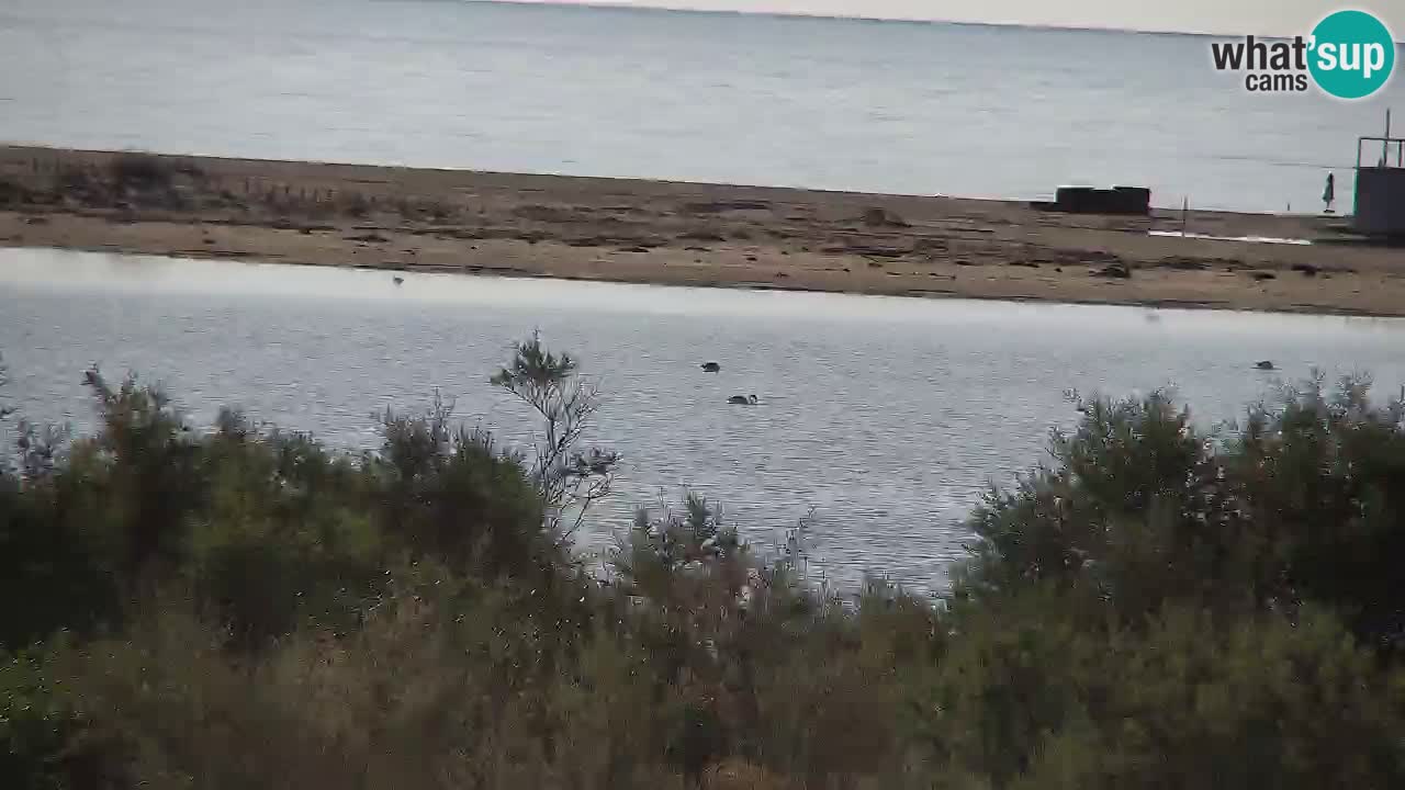 Webcam Chia – Live View of Su Giudeu Beach