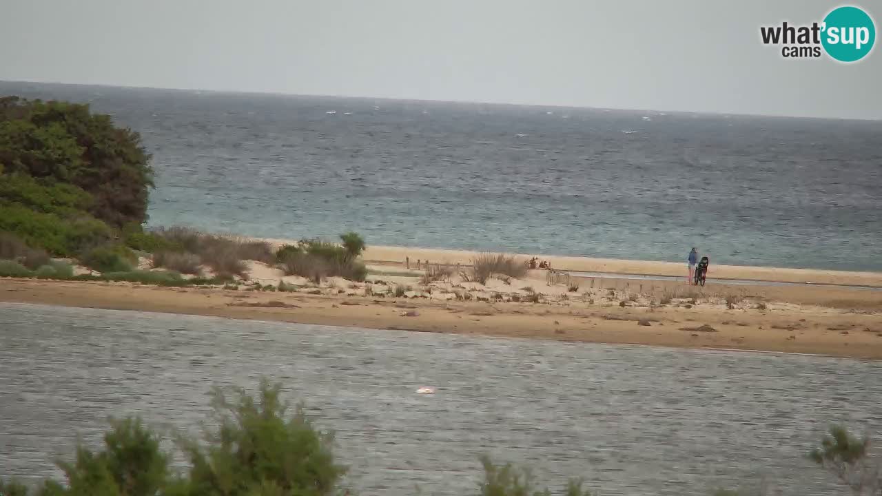 Webcam Chia – Vue en direct de la plage Su Giudeu