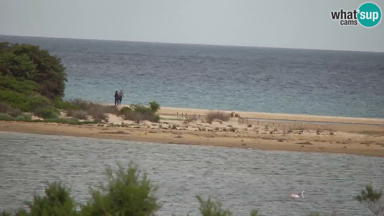 Webcam Chia – Live View of Su Giudeu Beach