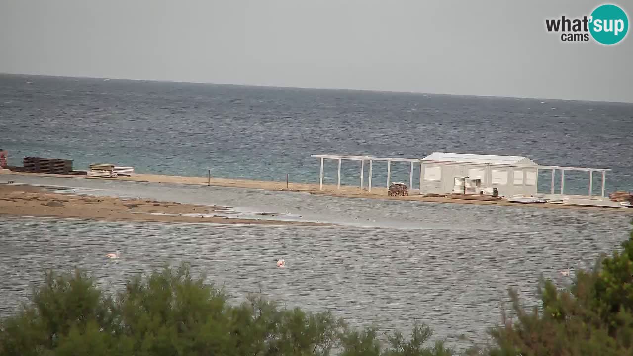 Webcam Chia – Vue en direct de la plage Su Giudeu