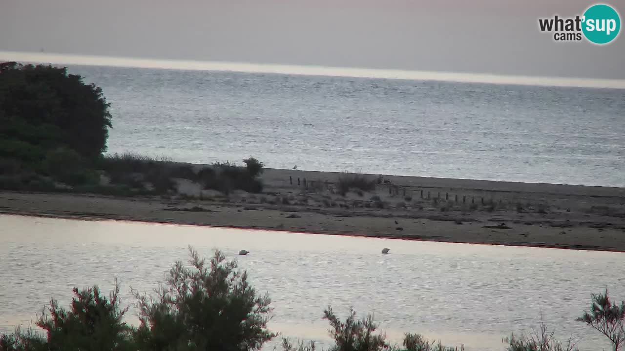 Webcam Chia – Vue en direct de la plage Su Giudeu