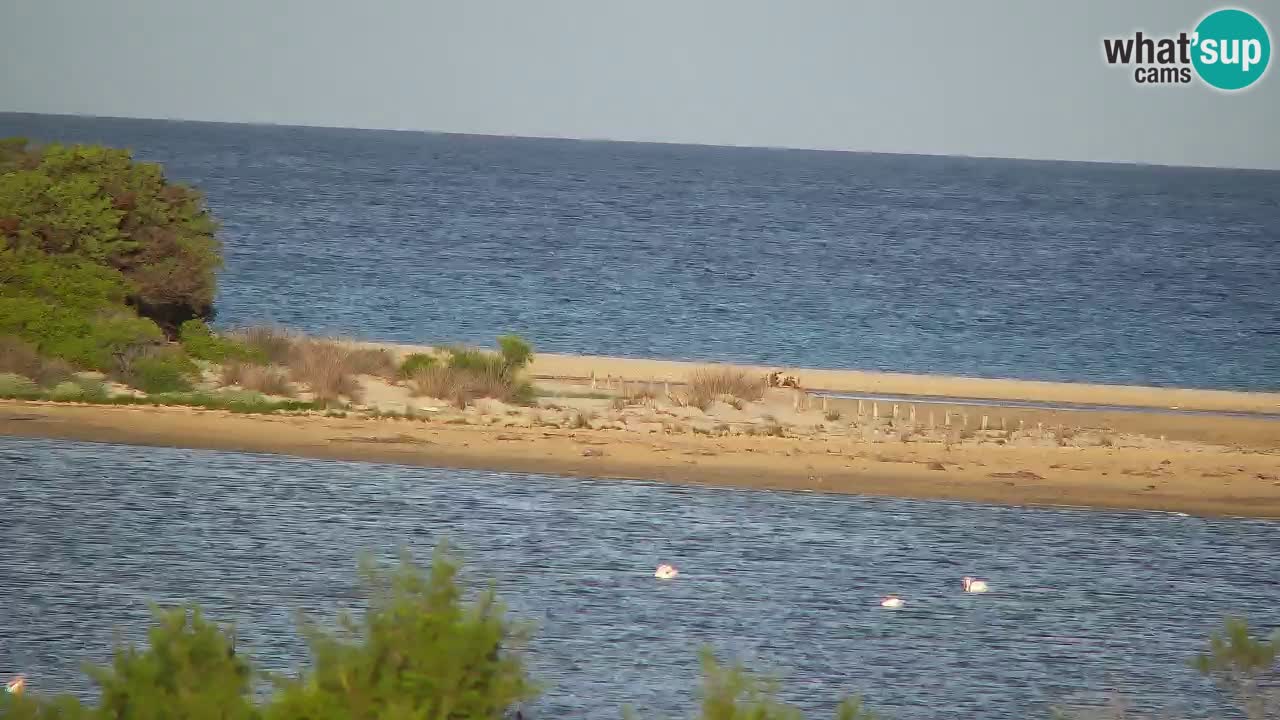 Webcam Chia – Spiaggia Su Giudeu in diretta