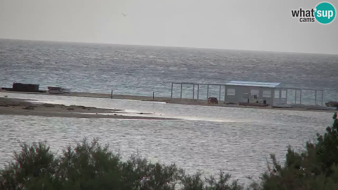 Webcam Chia – Live View of Su Giudeu Beach