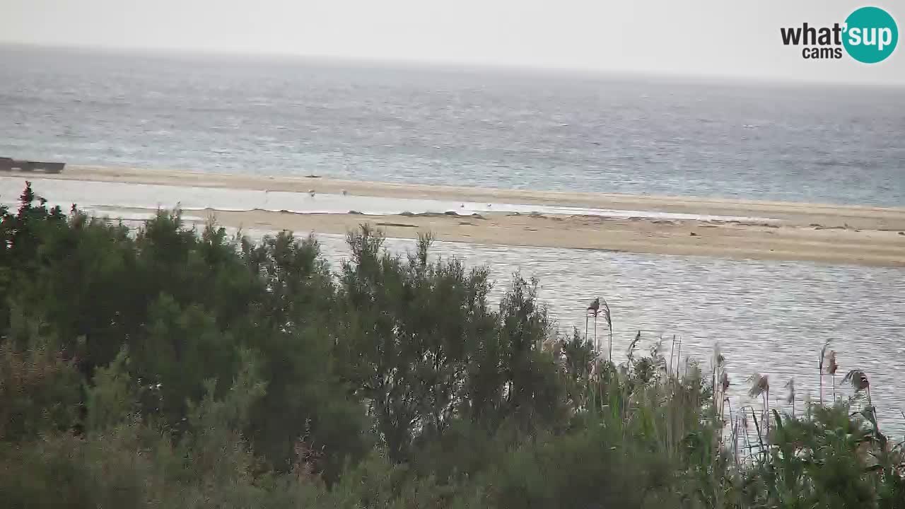 Webcam Chia – Live View of Su Giudeu Beach