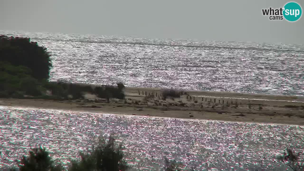 Web kamera Chia – Pogled uživo na plažu Su Giudeu