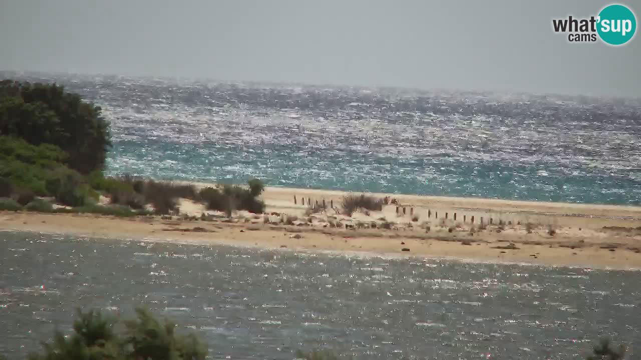 Webcam Chia – Live View of Su Giudeu Beach