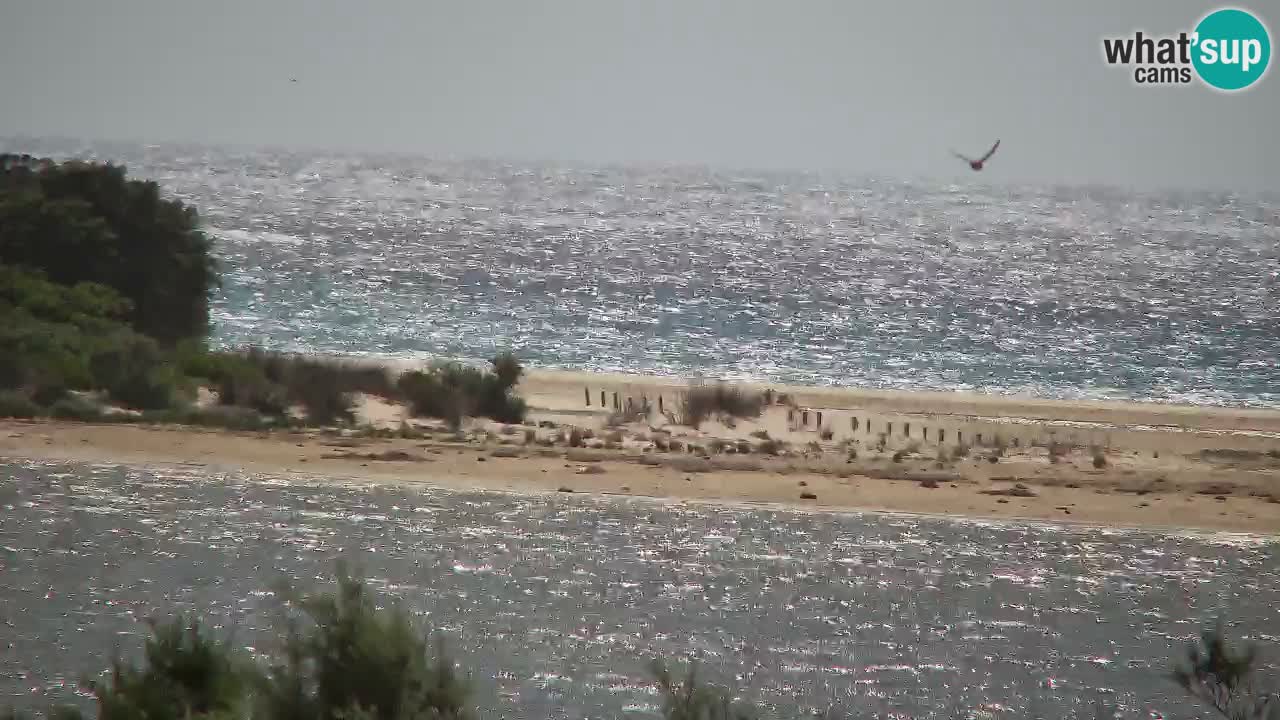 Spletna kamera Chia – Pogled v živo na plažo Su Giudeu