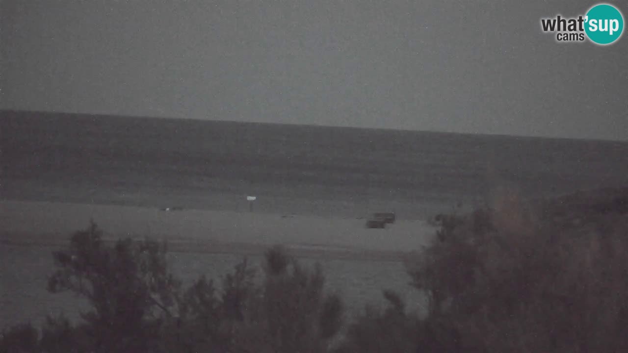 Webcam Chia – Live View of Su Giudeu Beach