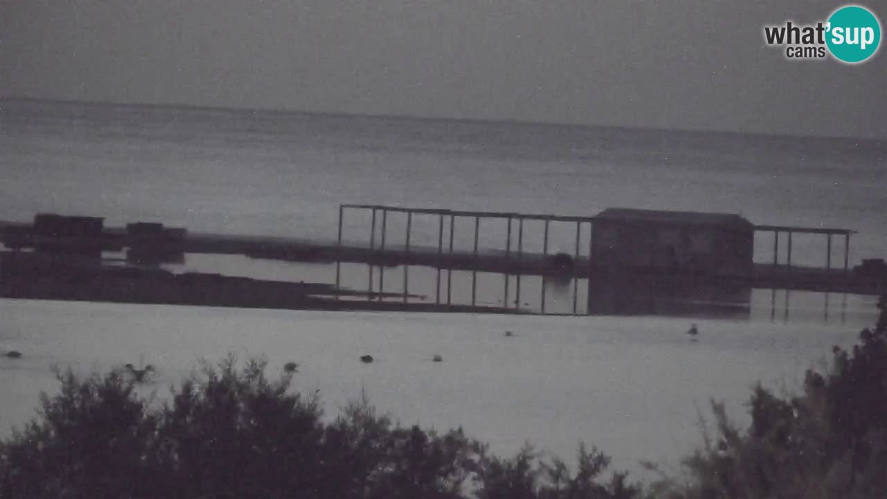 Webcam Chia – Live View of Su Giudeu Beach