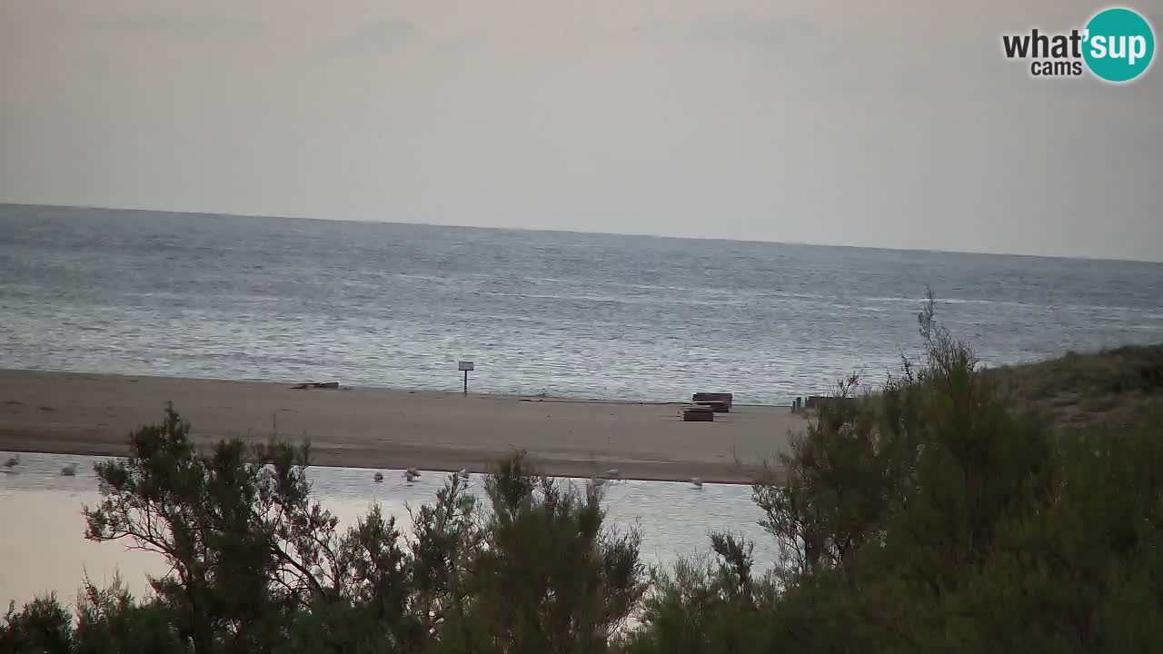 Webcam Chia – Vista en directo de la playa Su Giudeu