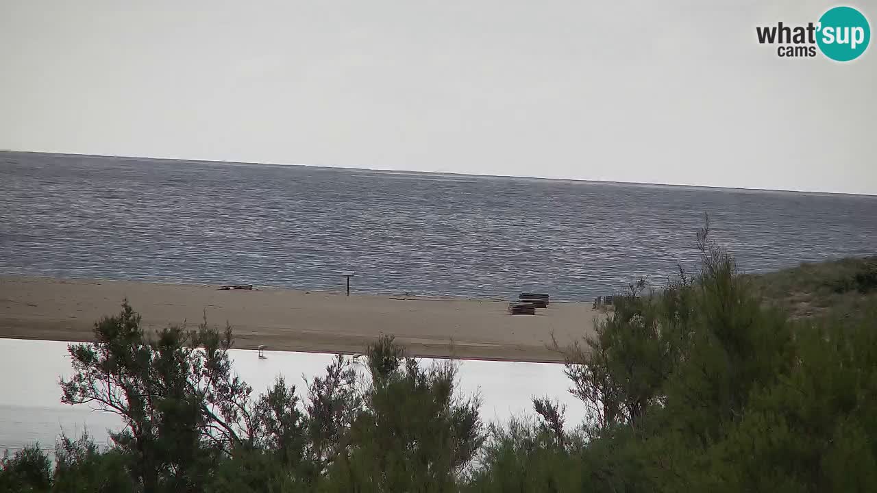 Webcam Chia – Live View of Su Giudeu Beach