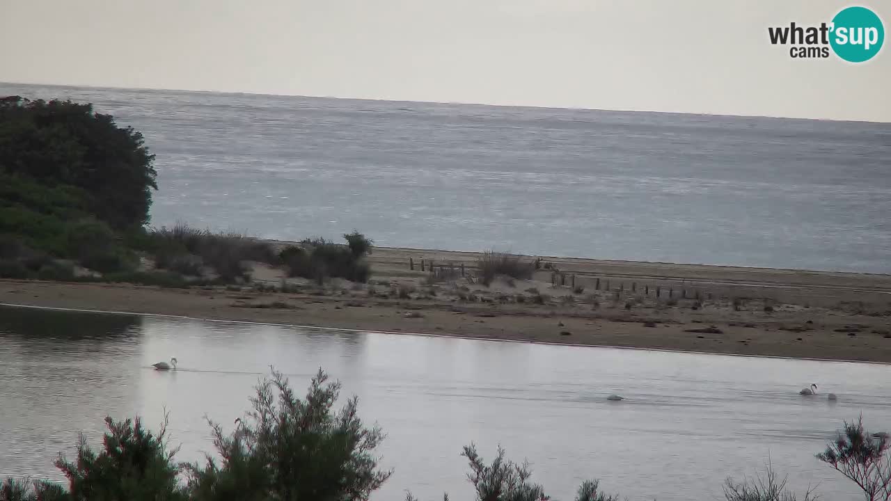Webcam Chia – Vue en direct de la plage Su Giudeu