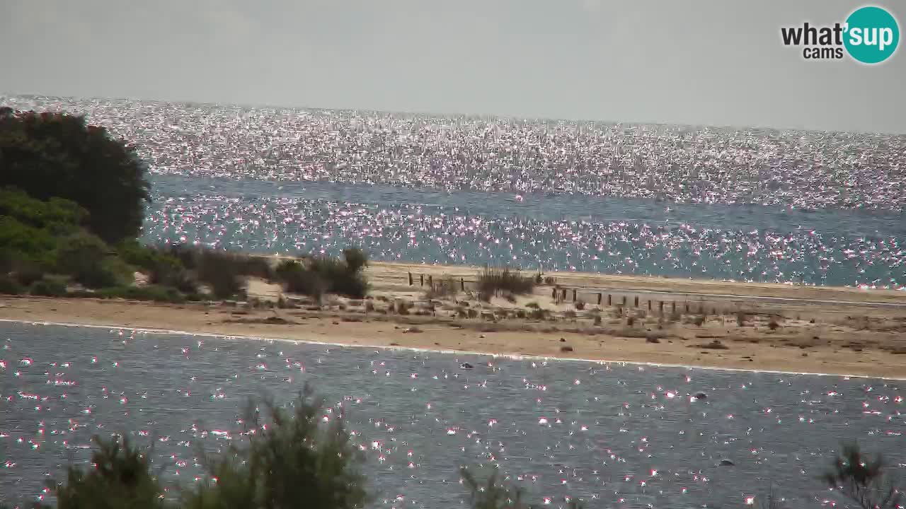 Webcam Chia – Vista en directo de la playa Su Giudeu
