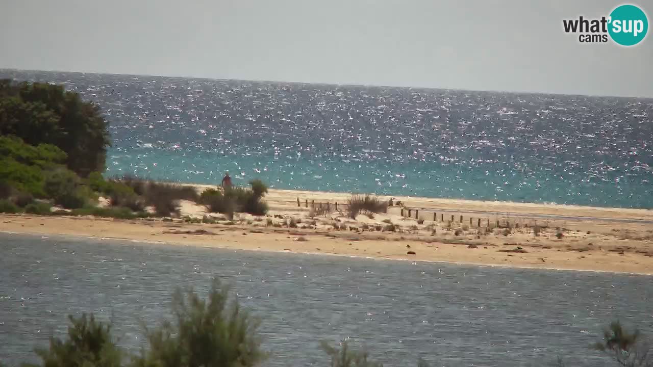 Webcam Chia – Live View of Su Giudeu Beach