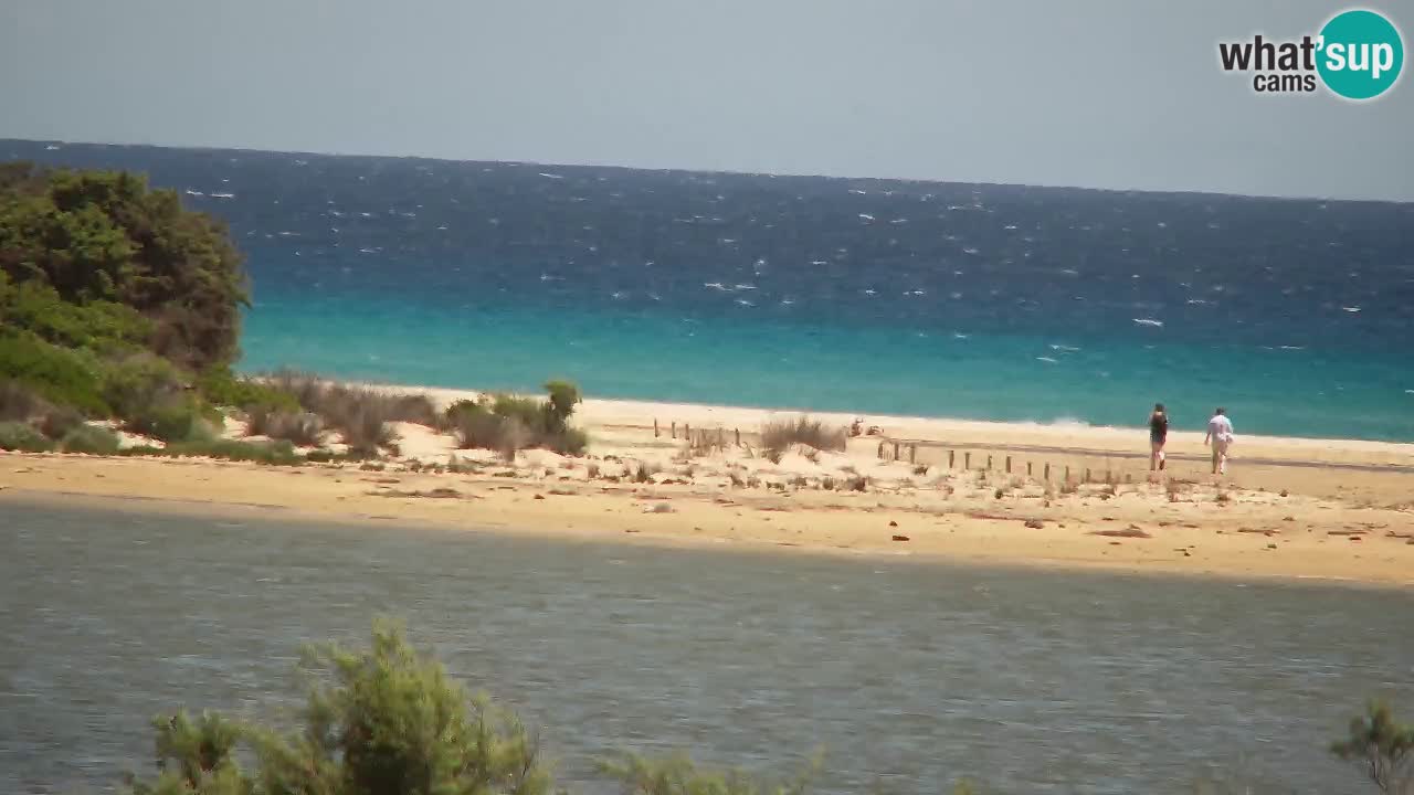 Webcam Chia – Live View of Su Giudeu Beach