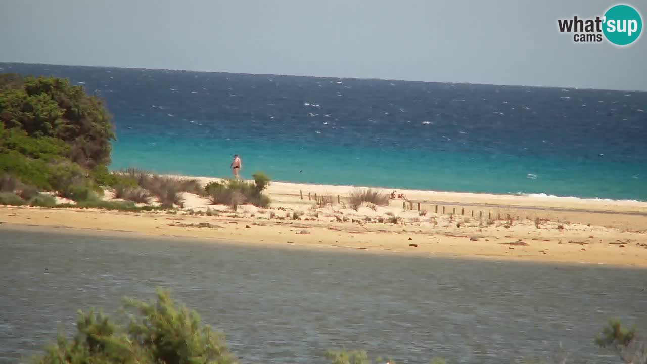Webcam Chia – Live View of Su Giudeu Beach