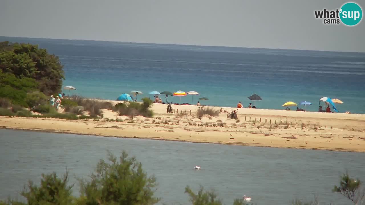 Web kamera Chia – Pogled uživo na plažu Su Giudeu