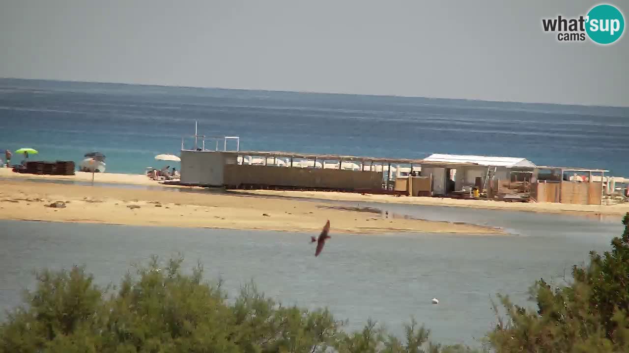 Webcam Chia – Live View of Su Giudeu Beach