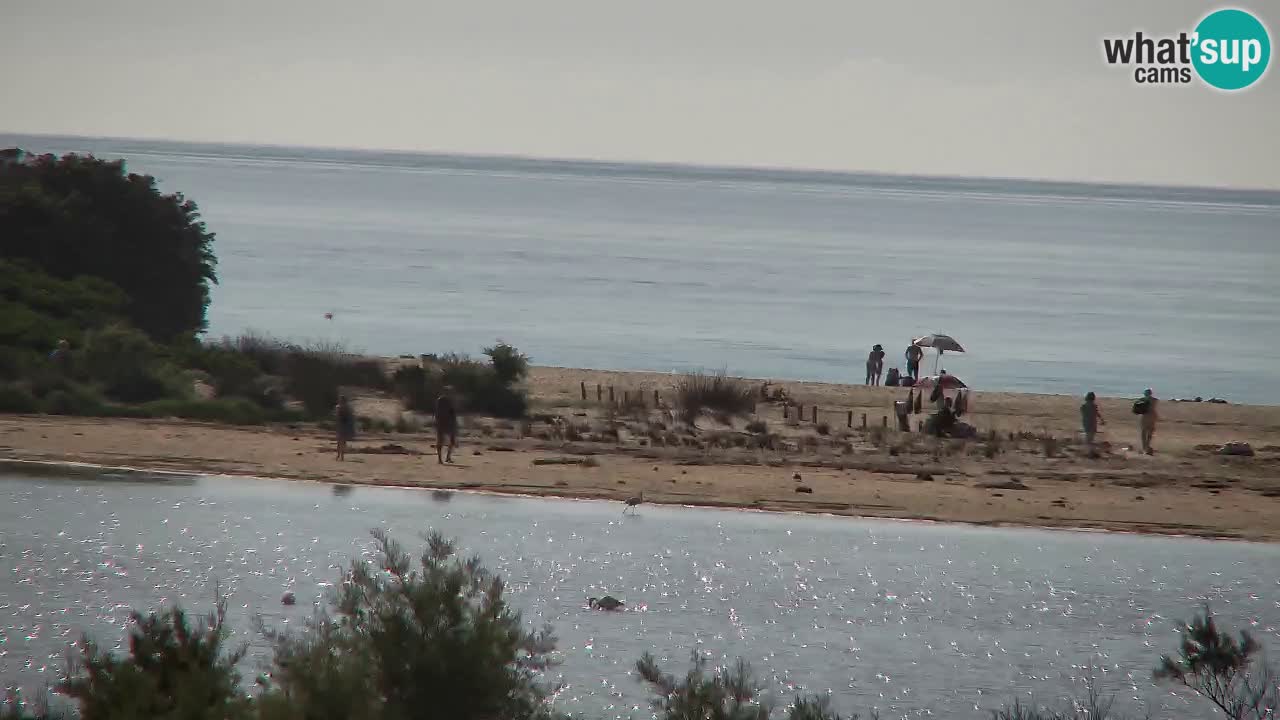 Webcam Chia – Live View of Su Giudeu Beach