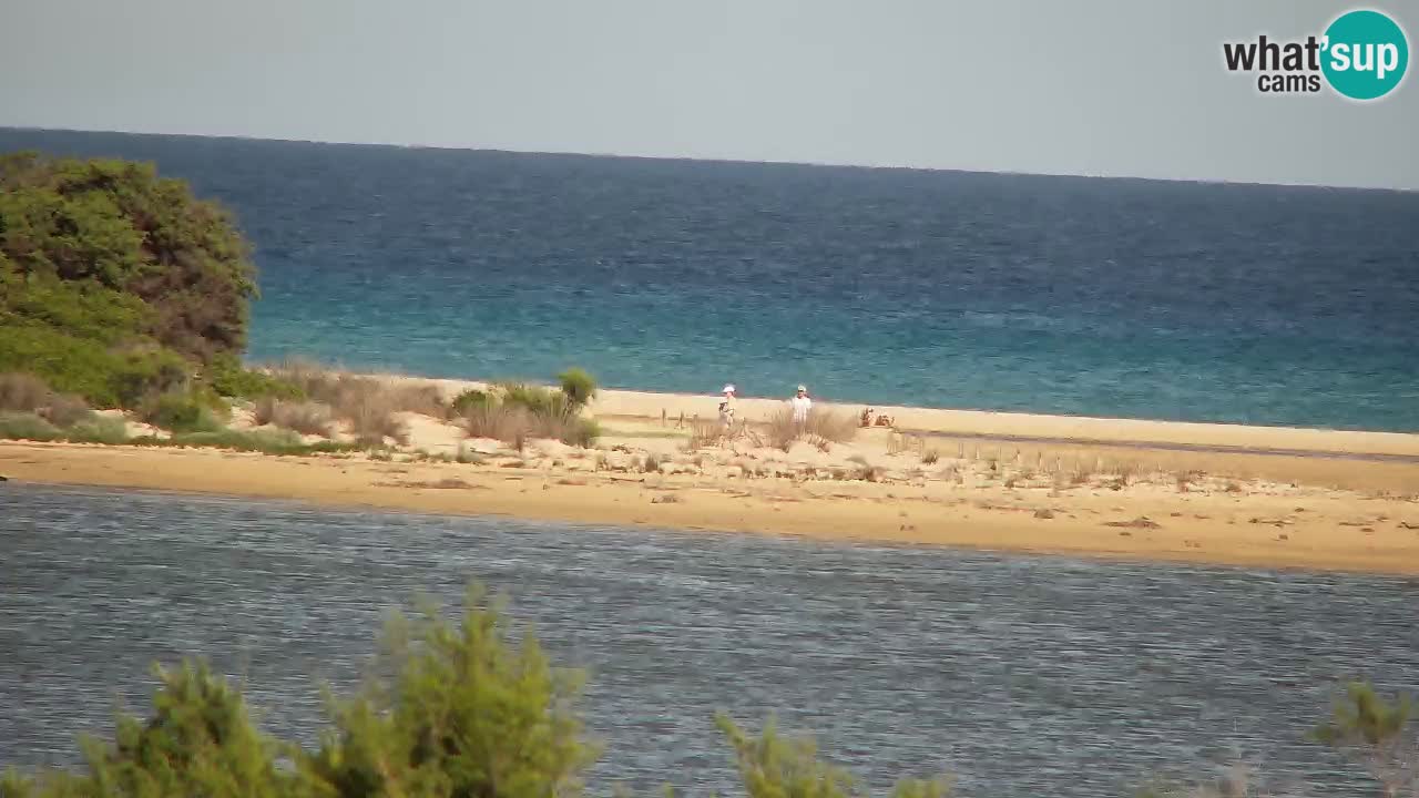 Webcam Chia – Vue en direct de la plage Su Giudeu
